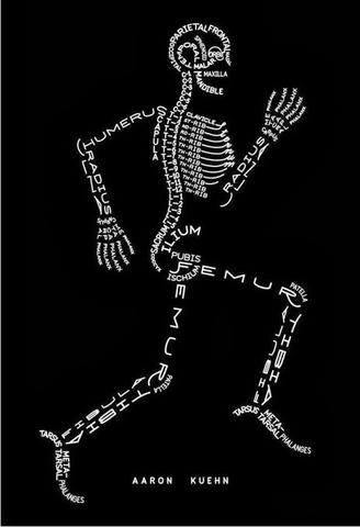Anatomie - (Lernen, Anatomie)