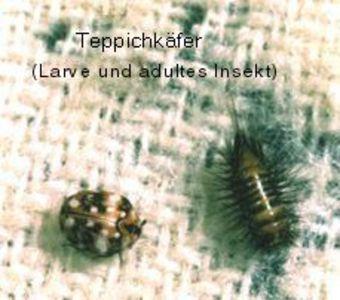 Teppich für küche Teppich für küche