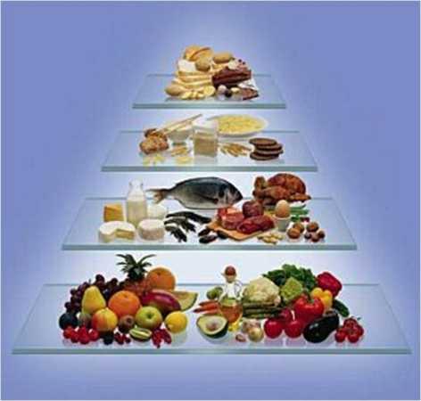Ernährungspyramide - (Gesundheit, Ernährung, Haushalt)
