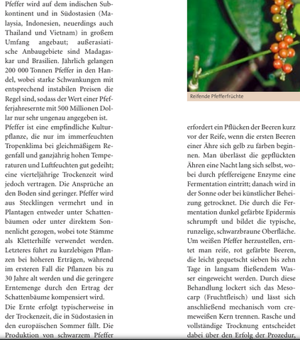 Pfefferanbau: Screenshot aus Katzer und Fansa, picantissimo - (Deutschland, Landwirtschaft, Gewürze)