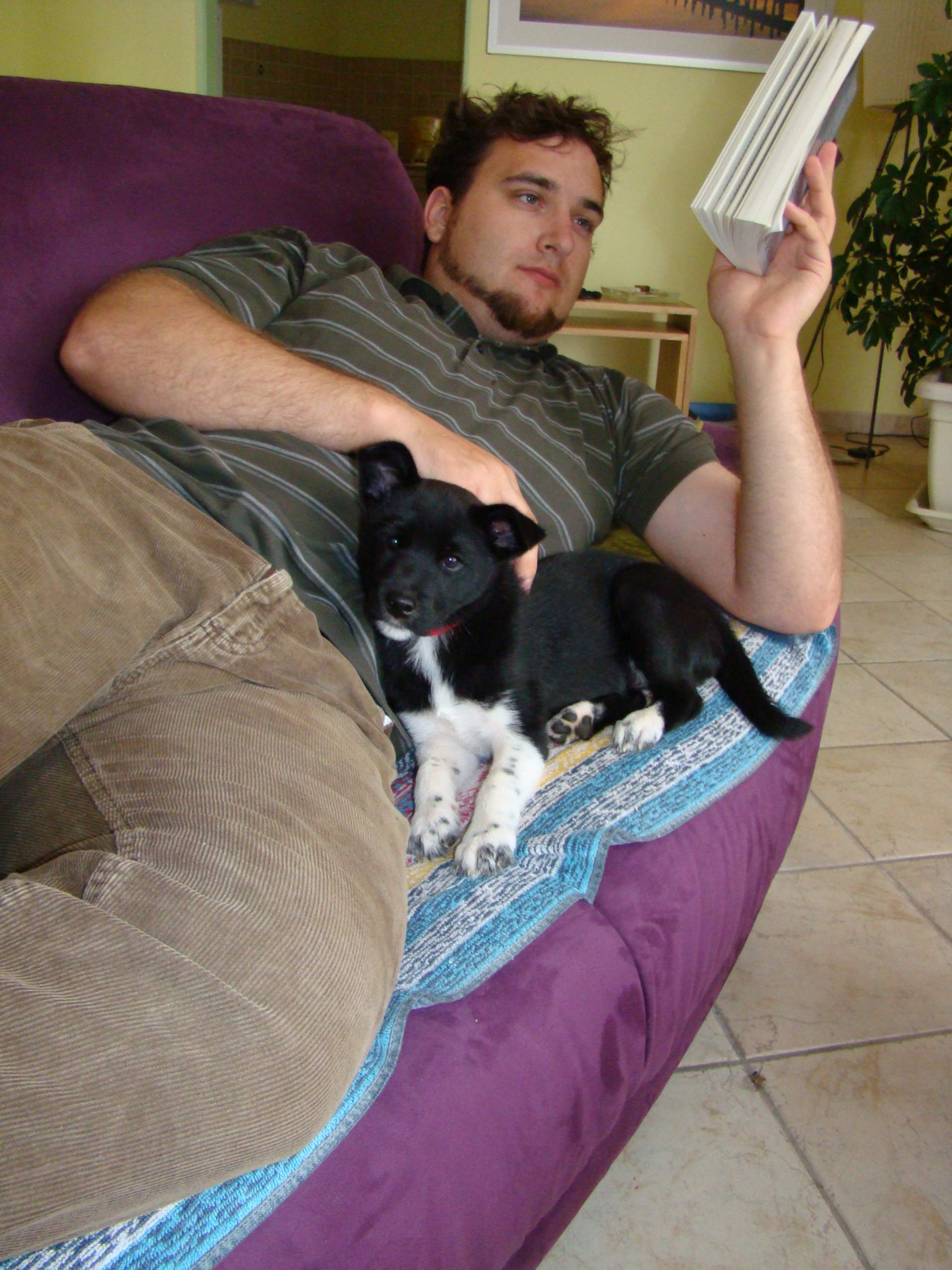 Welpe leckt mich ab… (Hund, Welpen)