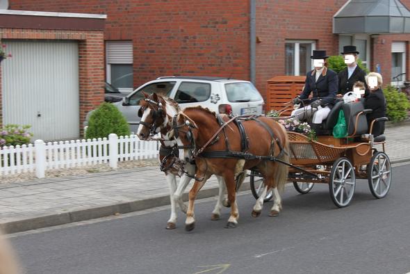 Felix und Sven ziehen die Blumenkinder - (reiten, Kutsche)