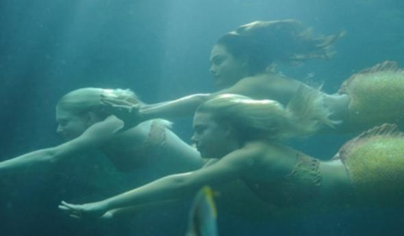 Bild 5 - (Serie, Bilder, H2O)