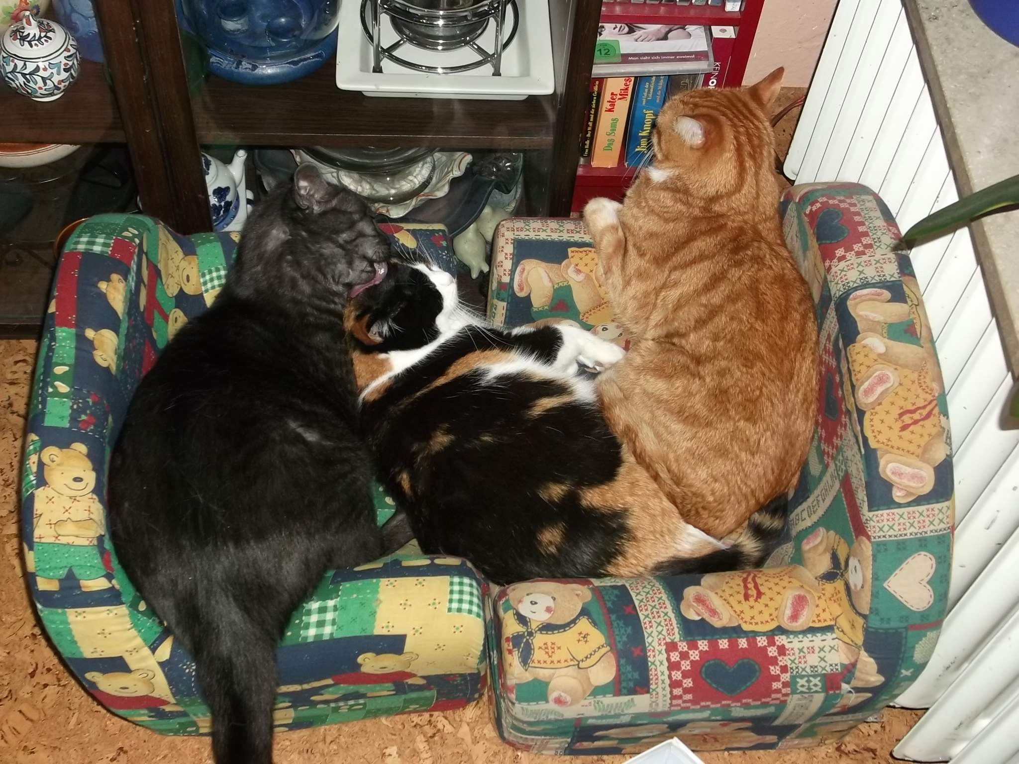 markieren kater trotz kastration? (Katze, markierung)