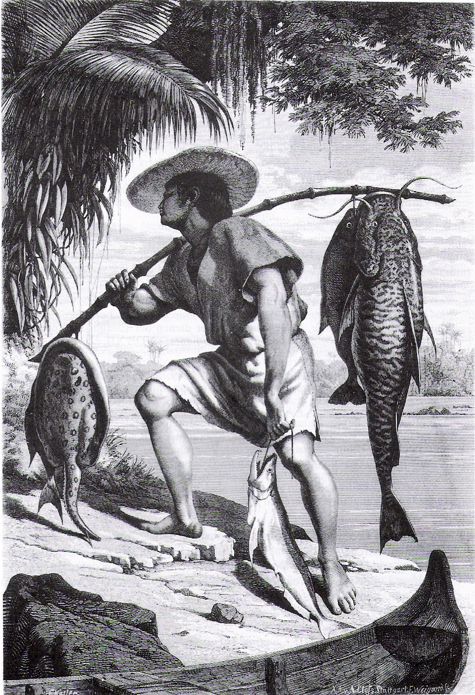 Wo Kann Man Dragonball Super Gucken