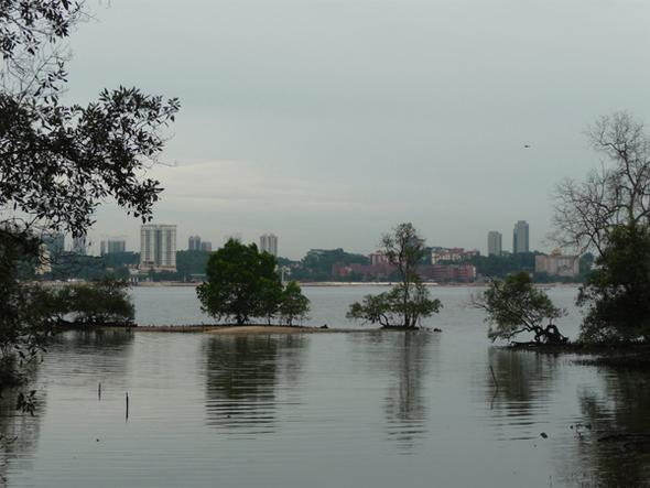 Blick auf Malaysia vom Sungei Buloh Wetland Reserve in Singapur  - (Urlaub, Reise, Asien)