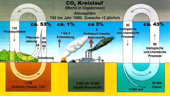 Der CO2-Kreislauf. Keine 3% sind vom Menschen! Vulkane nicht berücksichtigt! - (Klima, Klimawandel, Erderwärmung)