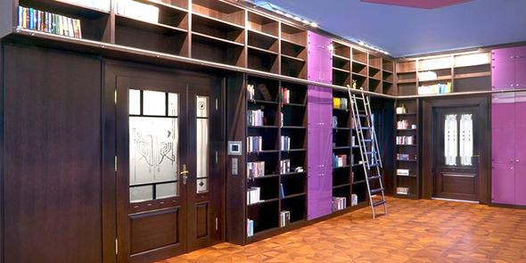 Moderne Bibliothek mit Bibliotheksleiter und farbiger Glasfront - (Möbel, Privatbibliothek)