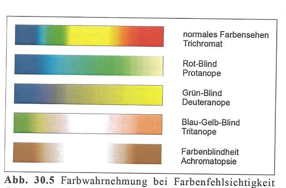 Farbtafel bei Farbenfehlsichtigkeit - (Medizin, Krankheit, Augen)