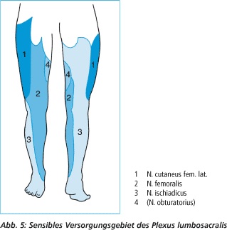 Taubheit im Oberschenkel außen (Wunde)