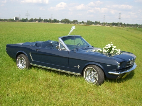 Wo Kann Man G Nstig Auto Mieten wo kann man g 252 nstig ford mustang mieten auto mietwagen Wo Kann Man G Nstig Auto Mieten wo kann man g 252 nstig ford mustang mieten auto mietwagen
