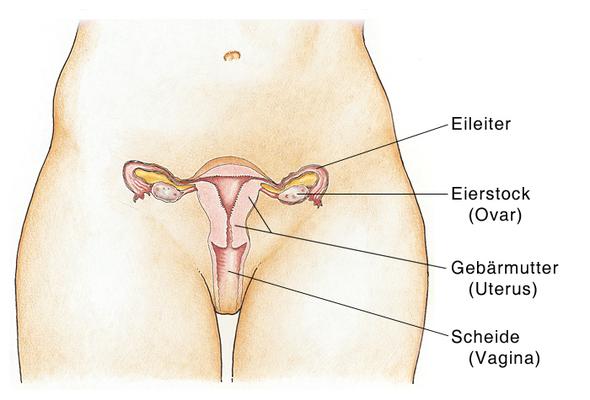 Tampon Selbstbefriedigung Periode Tampon Selbstbefriedigung Periode