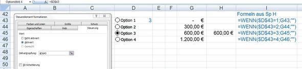 Optionsfelder - (Microsoft Excel, Formel, Einbildung)