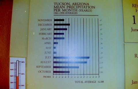 Niederschlag in Tucson, AZ / im Monatsdurschnitt - (USA, Stadt, sonnig)