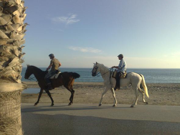 Reiten in Andalusien - (Pferd, Reiten, Spanien)