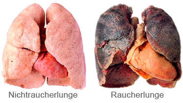 frage sex gegen rauchen frage sex gegen rauchen