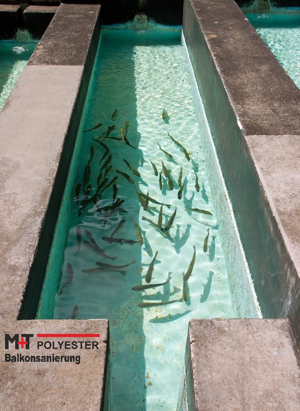 GFK-Pool mit Poolfarbe streichen? (heimwerken, Schwimmbad)