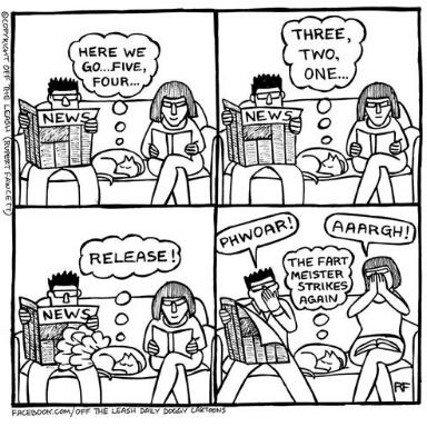 pupsen hunde aus eifersucht hund