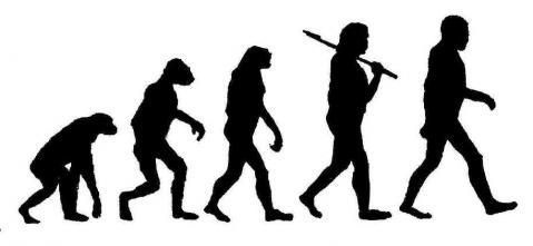 Evolution - (Menschen, Vergangenheit, Entstehung)