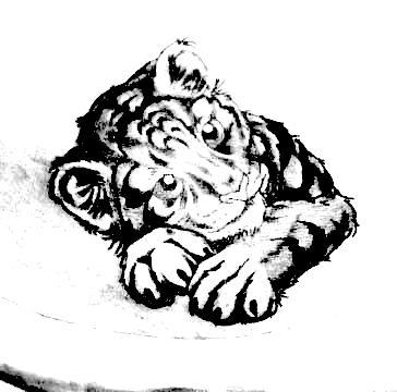 baytiger schwarzweiß - (zeichnen, danke, Tiger)