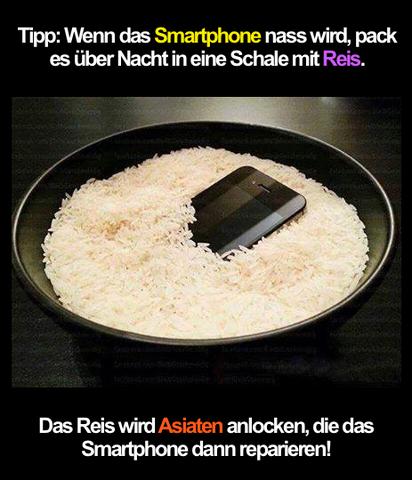 Reis mit Smartphone - (Apple, iPhone, Jailbreak)