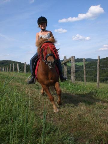 Meine Schwester mit eins der Ponys. - (Pferd, Gewicht, Reiten)