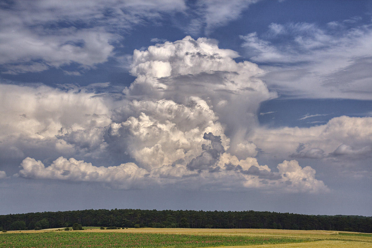 Wie kann ich ein aufziehendes Gewitter erkennen? (Wetter, Meteorologie)