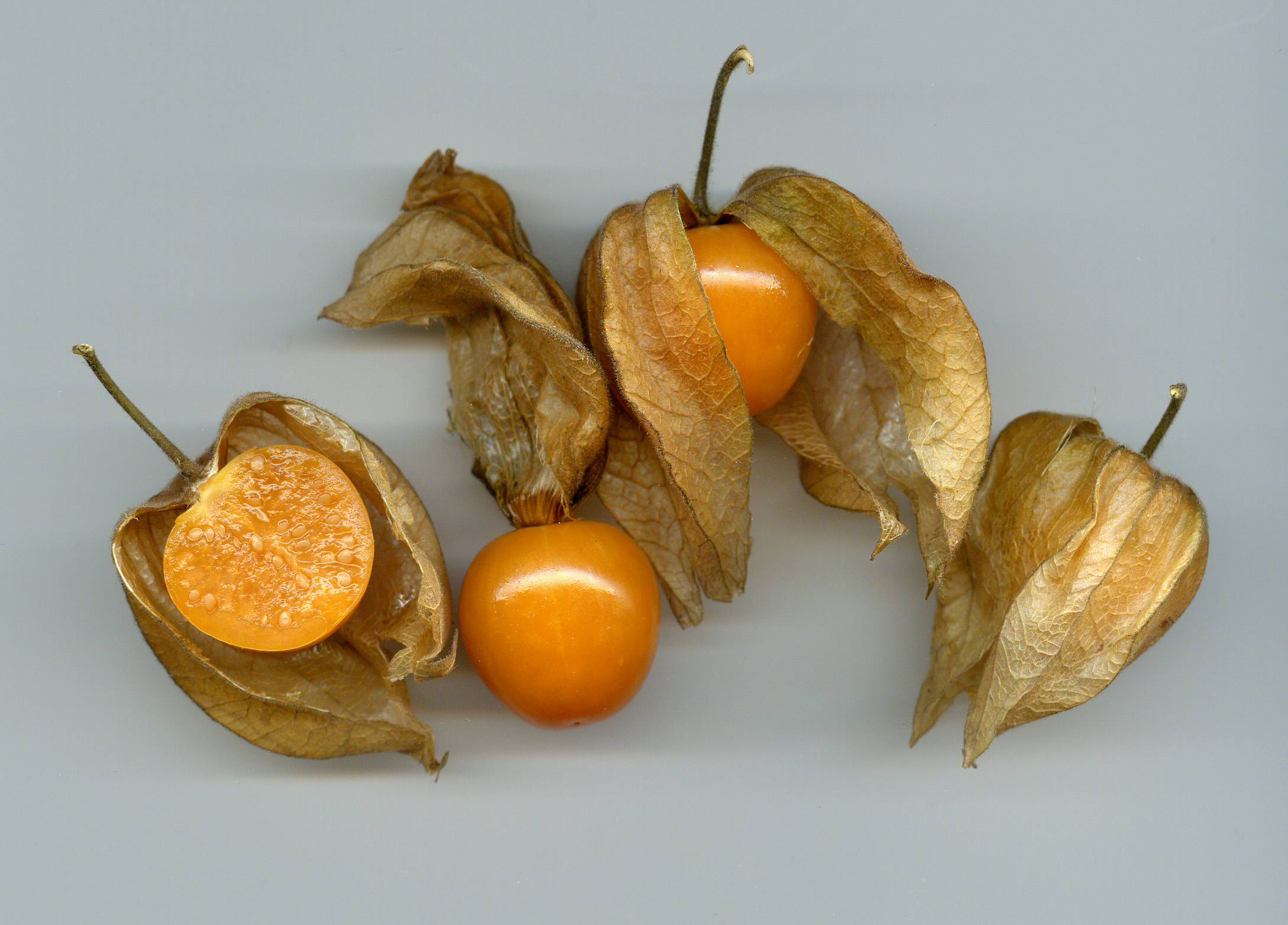 Wie heisst diese Kleine orange Frucht? (Früchte) Wie heisst diese Kleine orange Frucht? (Früchte)