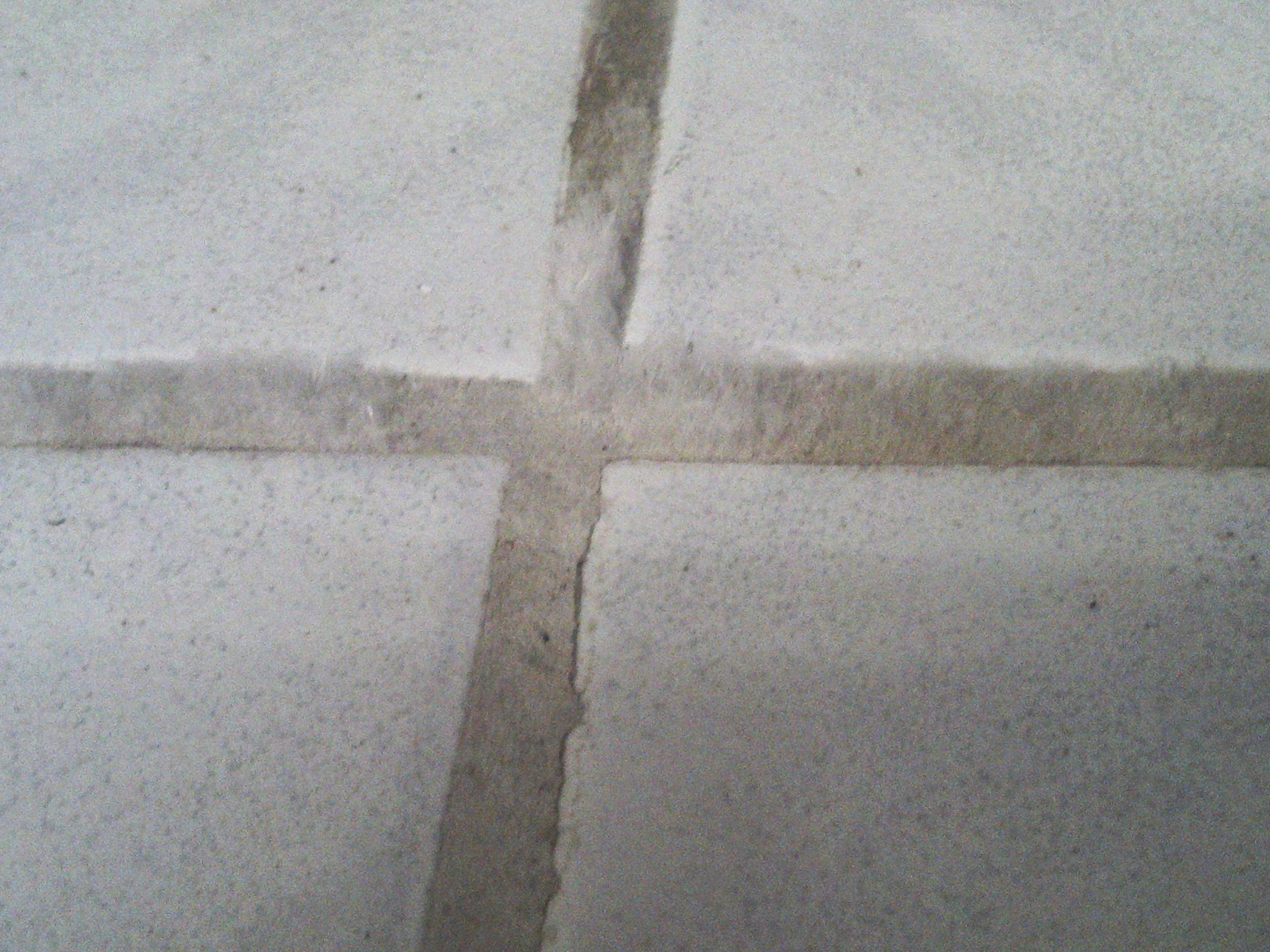 Weißer Flaum auf Fugen in Waschküche, Schimmel?