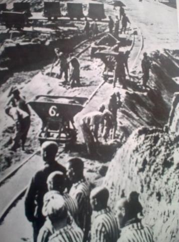 Who won world war 2 image