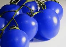 Blaues Gemuse Oder Obst Essen
