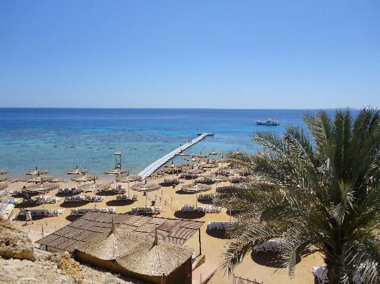 El Mandarin - (Urlaub, Meer, Strand)