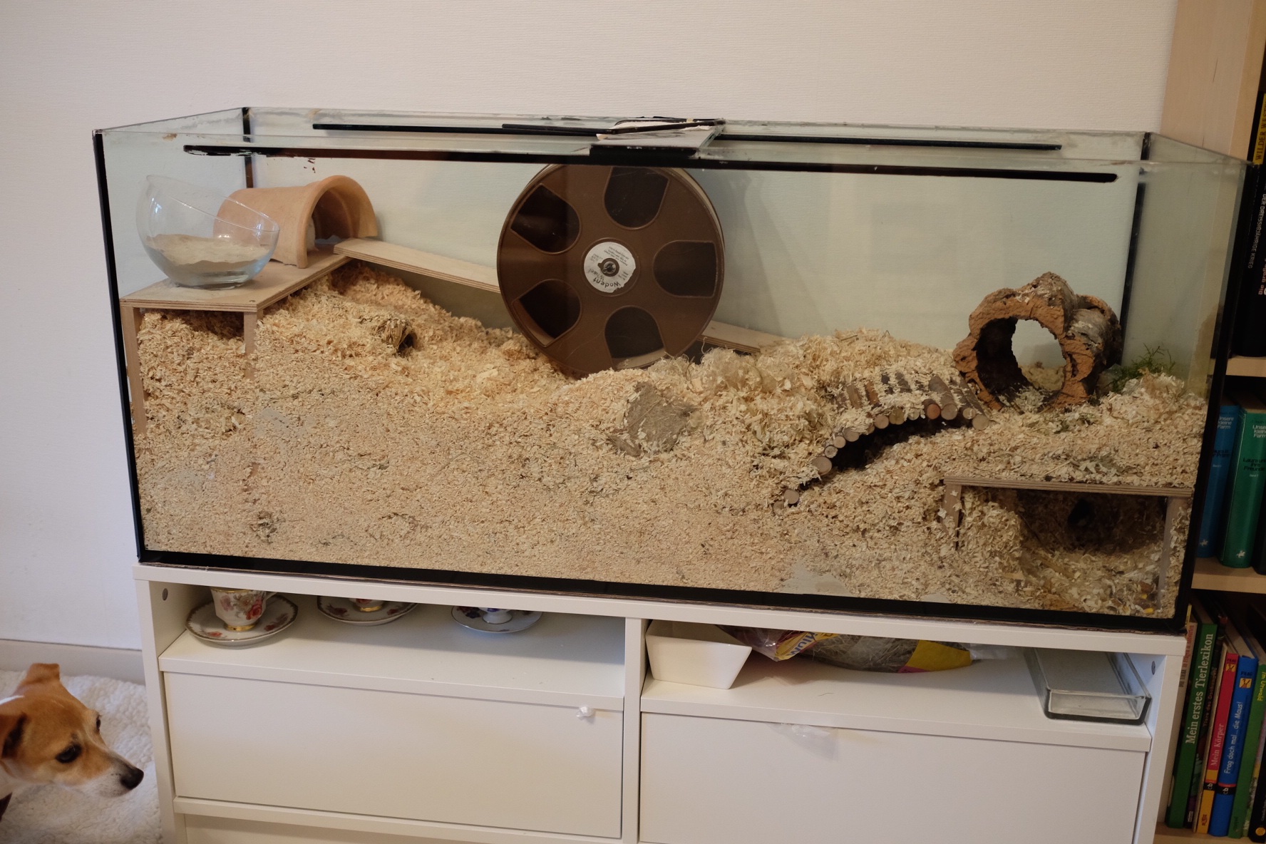 Welche Käfiggröße ist für einen Hamster groß genug? (Käfig) - 0 Original Welche Käfiggröße ist für einen Hamster groß genug? (Käfig) - 0 Original