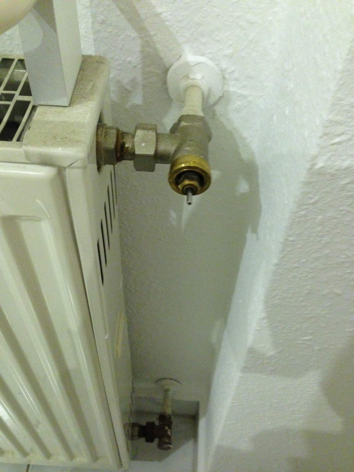 Heizkörper in der Küche bleibt kalt (Heizung)