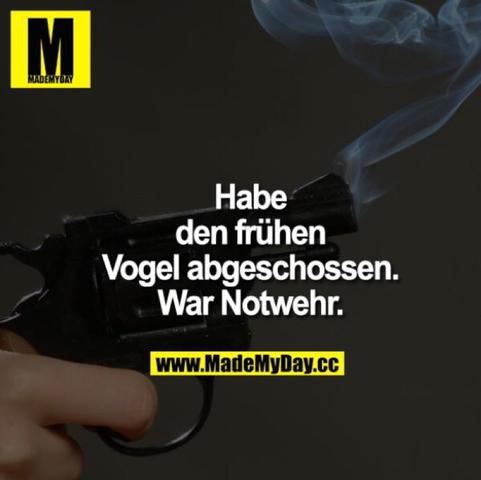 Pin von anja ziesenböck auf sprüche MadeMyDay | Lustig, Sprüche, Lustiger sarkasmus