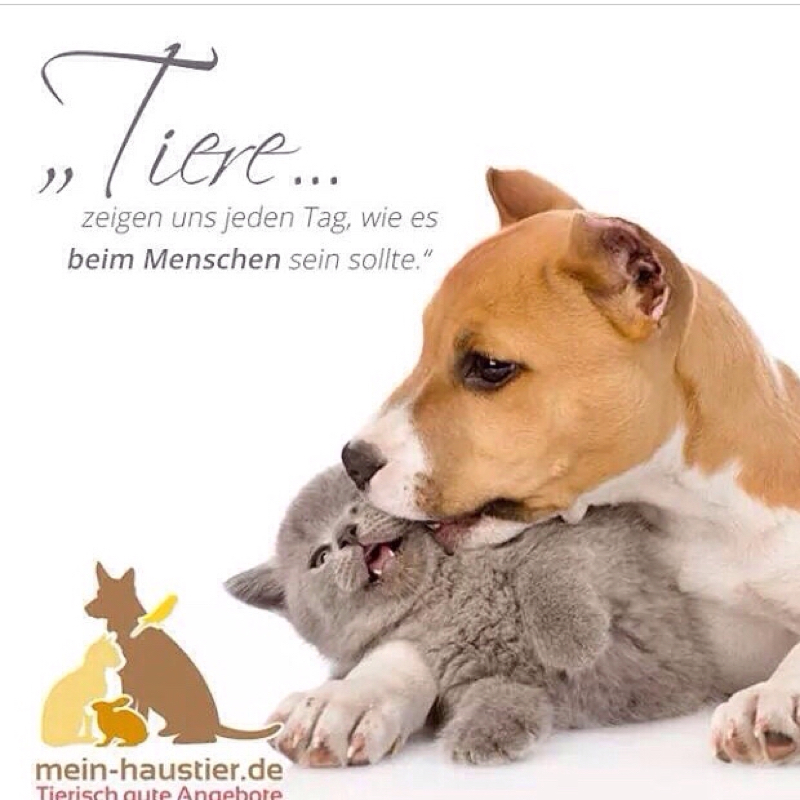 Unser Hund wird eingeschläfert und unsere Tochter ist so traurig