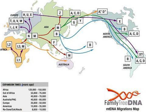 mtDNA - Ausbreitung der Frauen - (Menschen, Amerika, Asien)