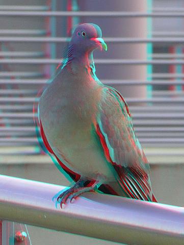 Photoshop Bild Drehen Kippen Bilder Bearbeiten 3d Effekt