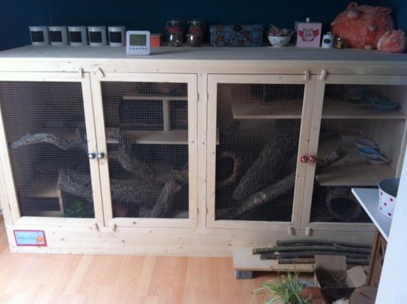 Wie gross muss der Käfig für 2 Chinchillas sein? (Chinchilla)