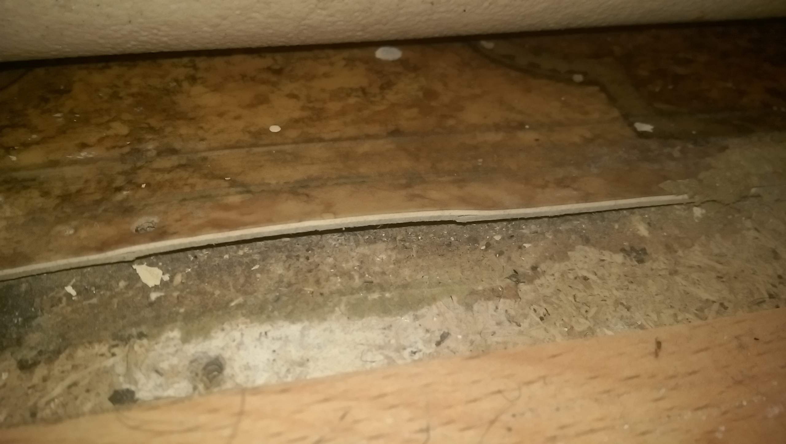 Asbest im Fußbodenbelag, Cushion Vinyl Erkennung Anhand von Fotos möglich? (Fussboden, PVC)