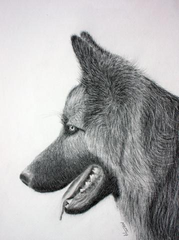 Schäferhund - (Kunst, zeichnen, Marke)