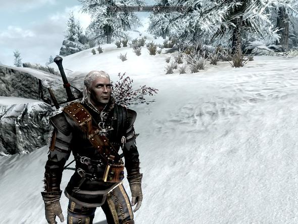 Geralt - (The Elder Scrolls V: Skyrim, Rasse)