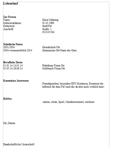 Lebenslauf Mit 17 Schule Bewerbung Abitur