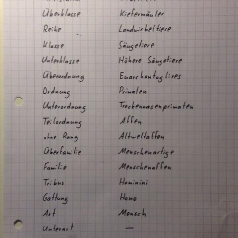 Teil 2 - (Biologie, einordnen)