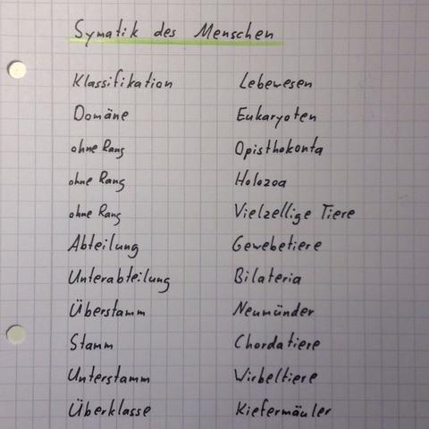 Teil 1 - (Biologie, einordnen)