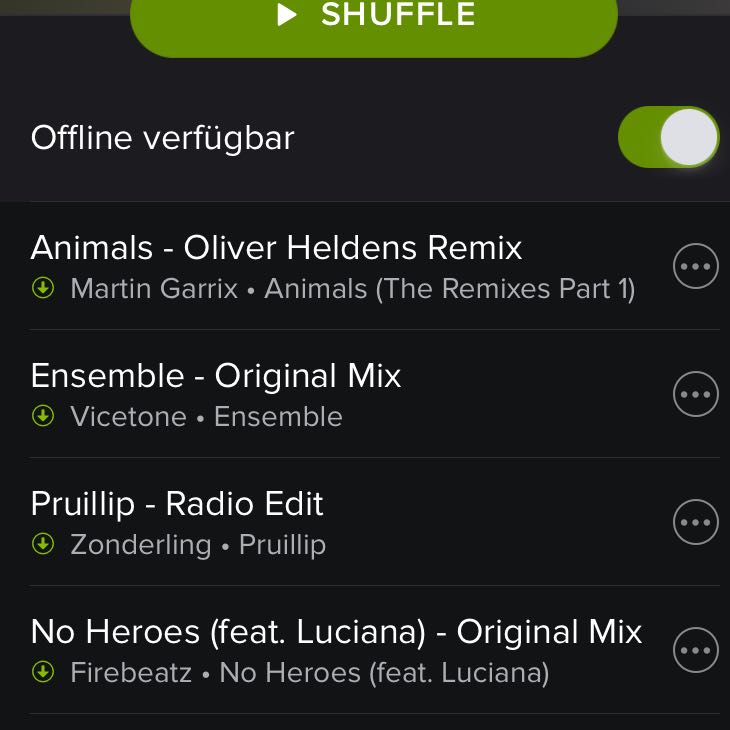 Spotify Lieder bzw Playlist herunterladen aber wie (Musik)