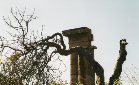 Monte Smith, die Akropolis von Rhodos. Eigenes Photo - (Urlaub, Griechenland, Last Minute)