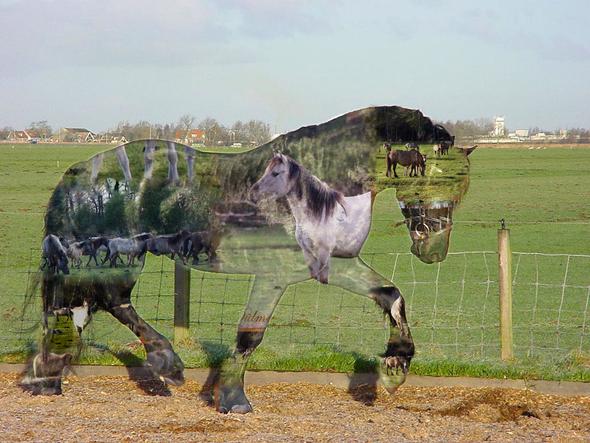 Wie Kann Ich Schone Bildercollagen Erstellen Download Bildbearbeitung