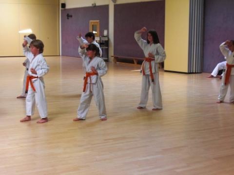  - (Karate, Kids, Kung)