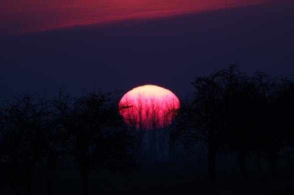 eingefärbte Sonne - (Sonne, sonnenfinsternis, Sonnenuntergang)